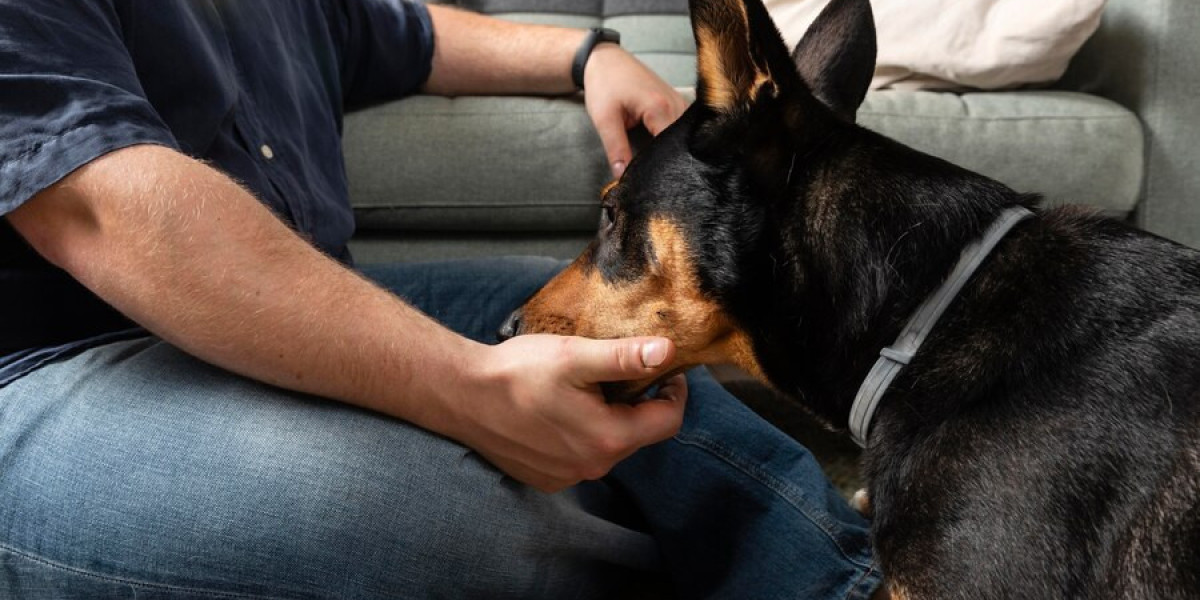 Common Uses of Fenbendazole 500Mg for Dogs