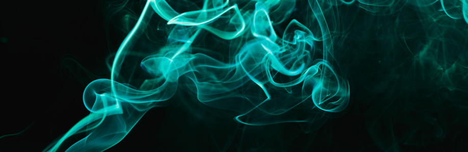 Lotusleaf Cover Image